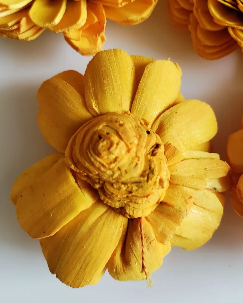 Luna Sholapith DIY Flower Bunch | Vase Not Included | 11 Flower Heads